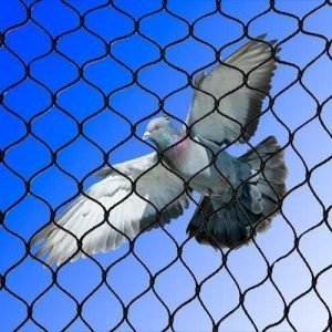 pigeon net at best price