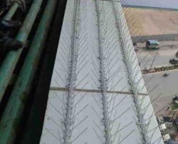 Polycarbonate-pigeon spikes@ RaddissonBlue