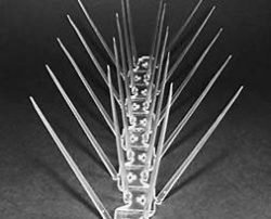 Polycarbonate Pigeon Spikes