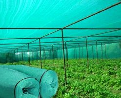 Green Shade Net Dealer in Jaipur