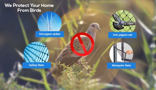 Bird Net Dealer in Jaipur